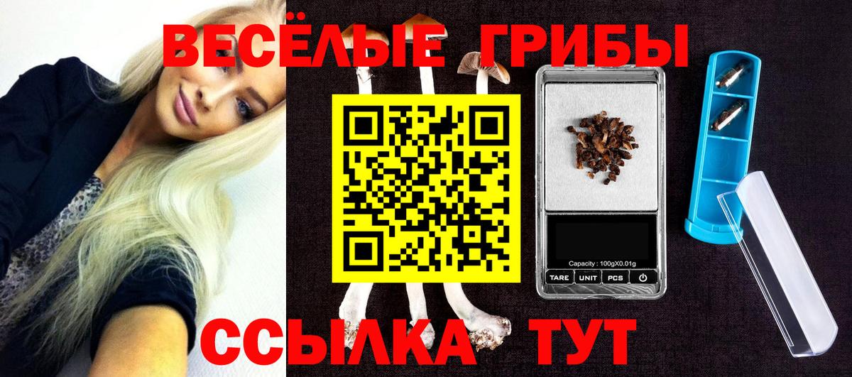 Псилоцибиновые грибы MAGIC MUSHROOMS Дербент